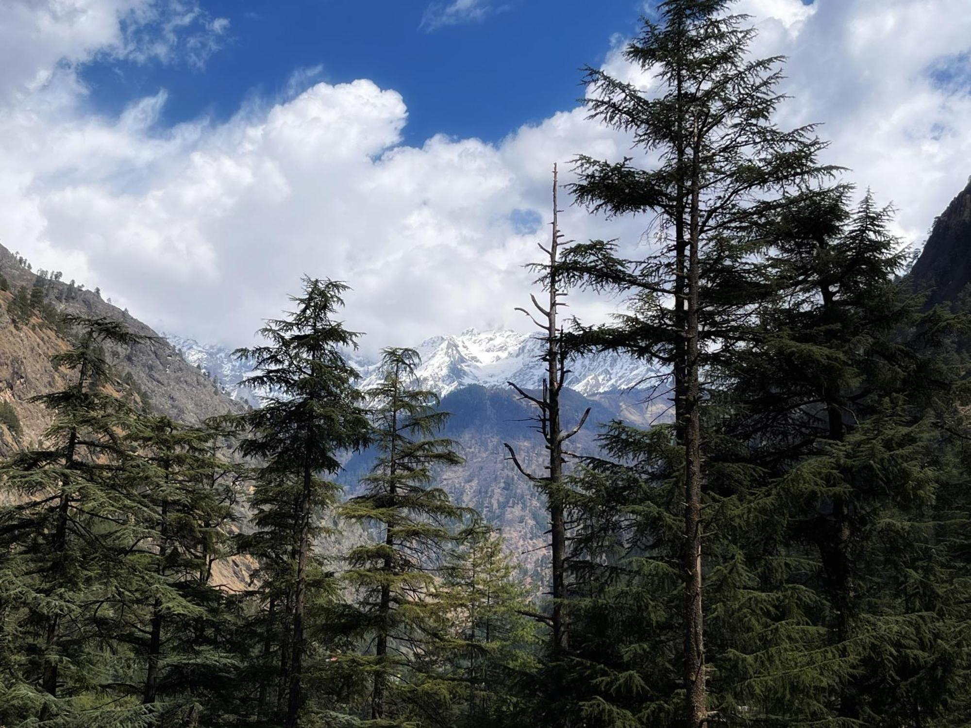 Homestay Blue Moon Kasol