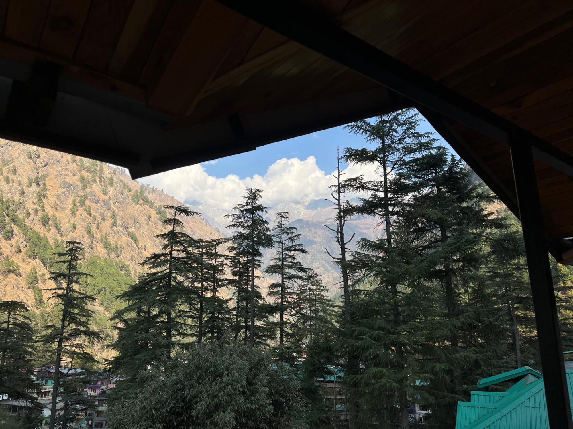 Blue Moon Kasol